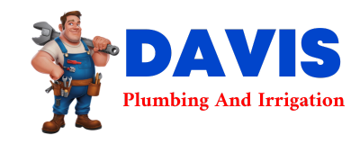 Trusted plumber in DESDEMONA